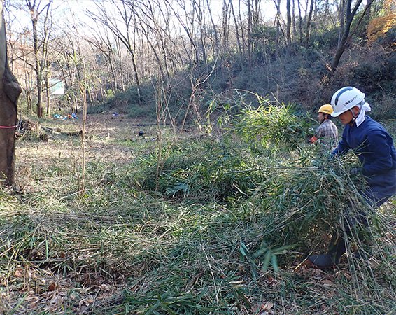 竹藪の整備活動