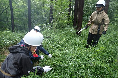 中学校の森林体験