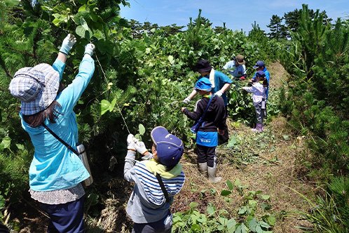  東日本大震災復興支援（海岸林の再生）事業