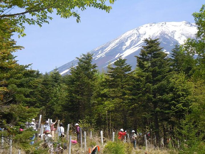 「富士山の森づくり」活動